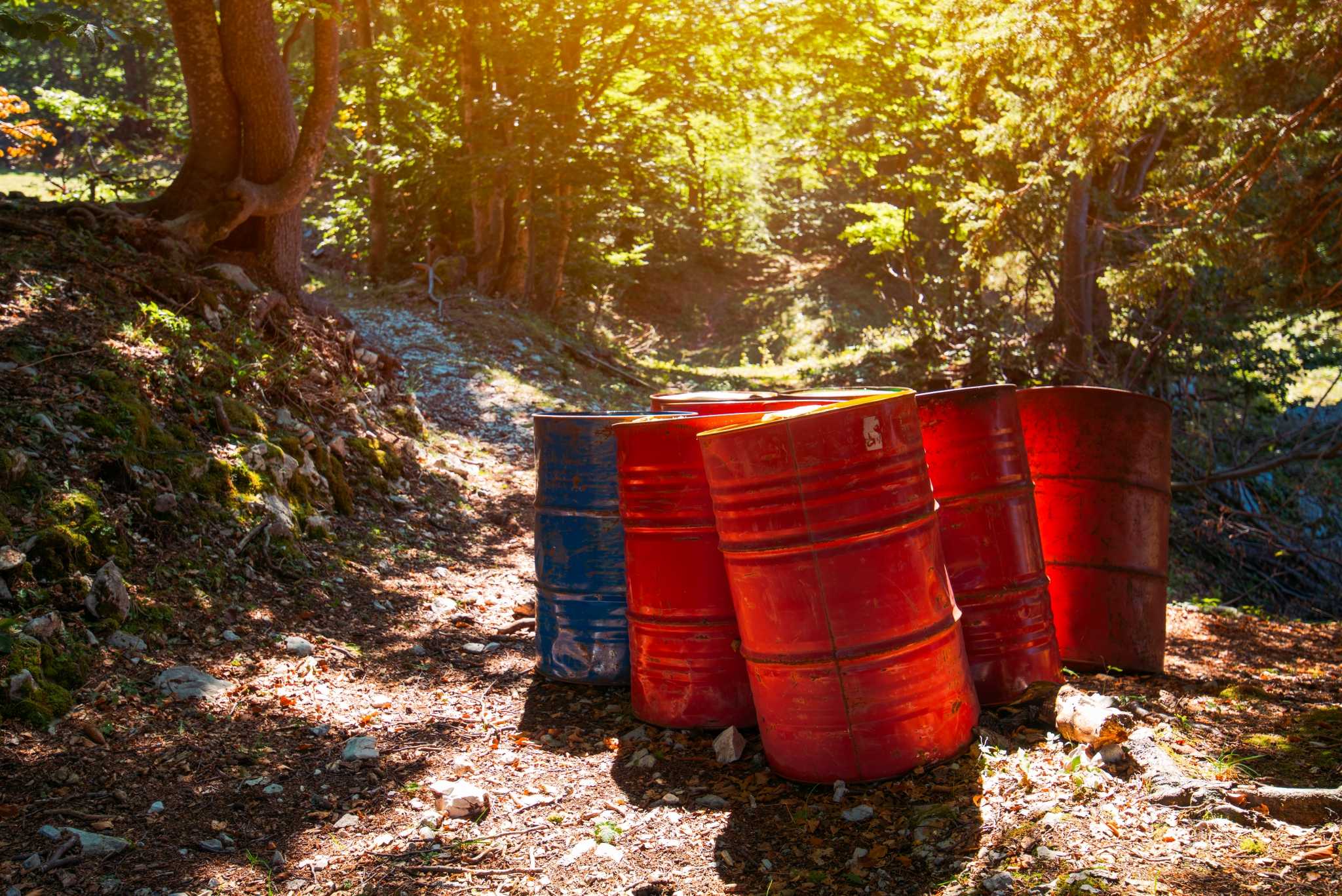 toxic waste barrels in the forest PRE8XS5