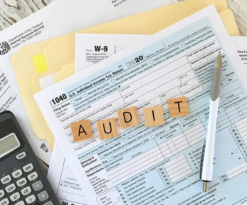 Audit management software