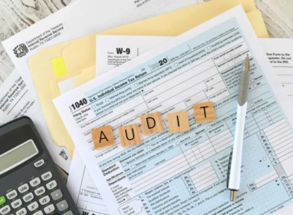 Audit management software