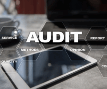 Audit software