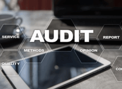 Audit software