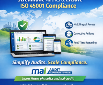 Audit software